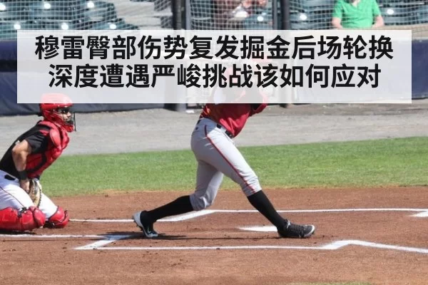 穆雷臀部伤势复发掘金后场轮换深度遭遇严峻挑战该如何应对